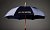 Umbrellas